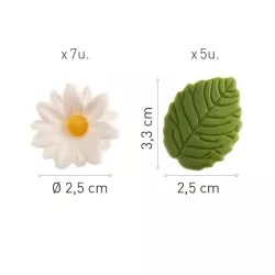 20 g di zucchero 7 fiori bianchi e 5 foglie verdi