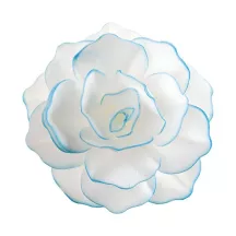 White edible paper flower with blue border