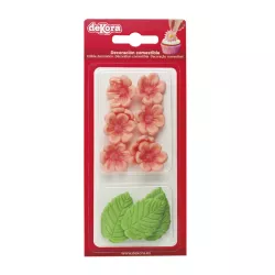 Fiori rosa e foglie verdi di zucchero