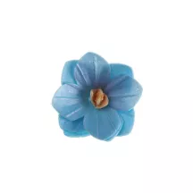 Fleurs en papier comestible, bleu