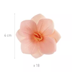 Fiori di carta commestibili rosa