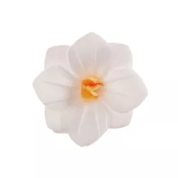 Fiori di carta commestibile, bianchi
