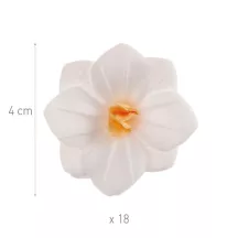 Fiori di carta commestibile, bianchi