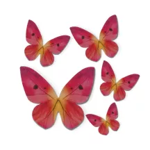 Pink edible paper butterflies
