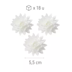 Crisantemi in carta commestibile Ø 5,5 cm, bianco