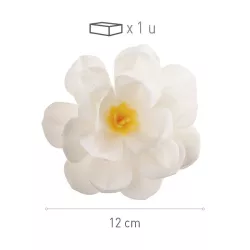 Fleur blanche en papier comestible, Ø 12 cm