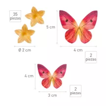 Farfalle e fiori di carta commestibili - Mangiare Sanguinare