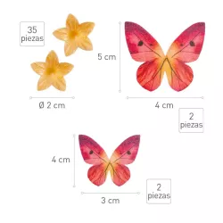 Esspapier Schmetterlinge und Blüten