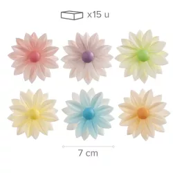 Pâquerettes colorées en papier alimentaire, Ø 7 cm