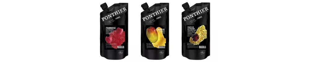 Purées de fruits pour glace & sorbet