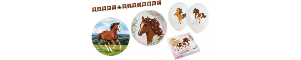 Horse birthday party