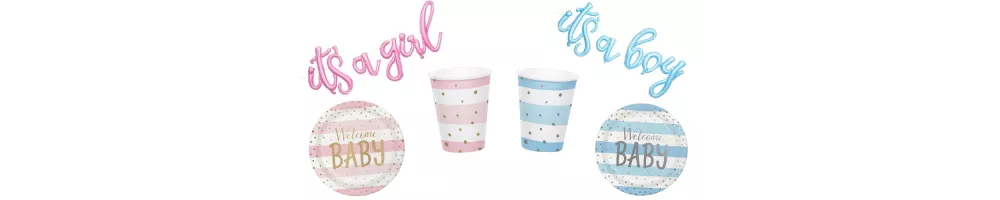 Festa di nascita rosa e blu