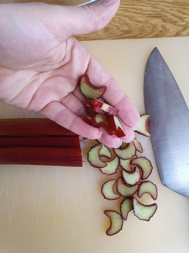 strawberry-rhubarb tart recipe