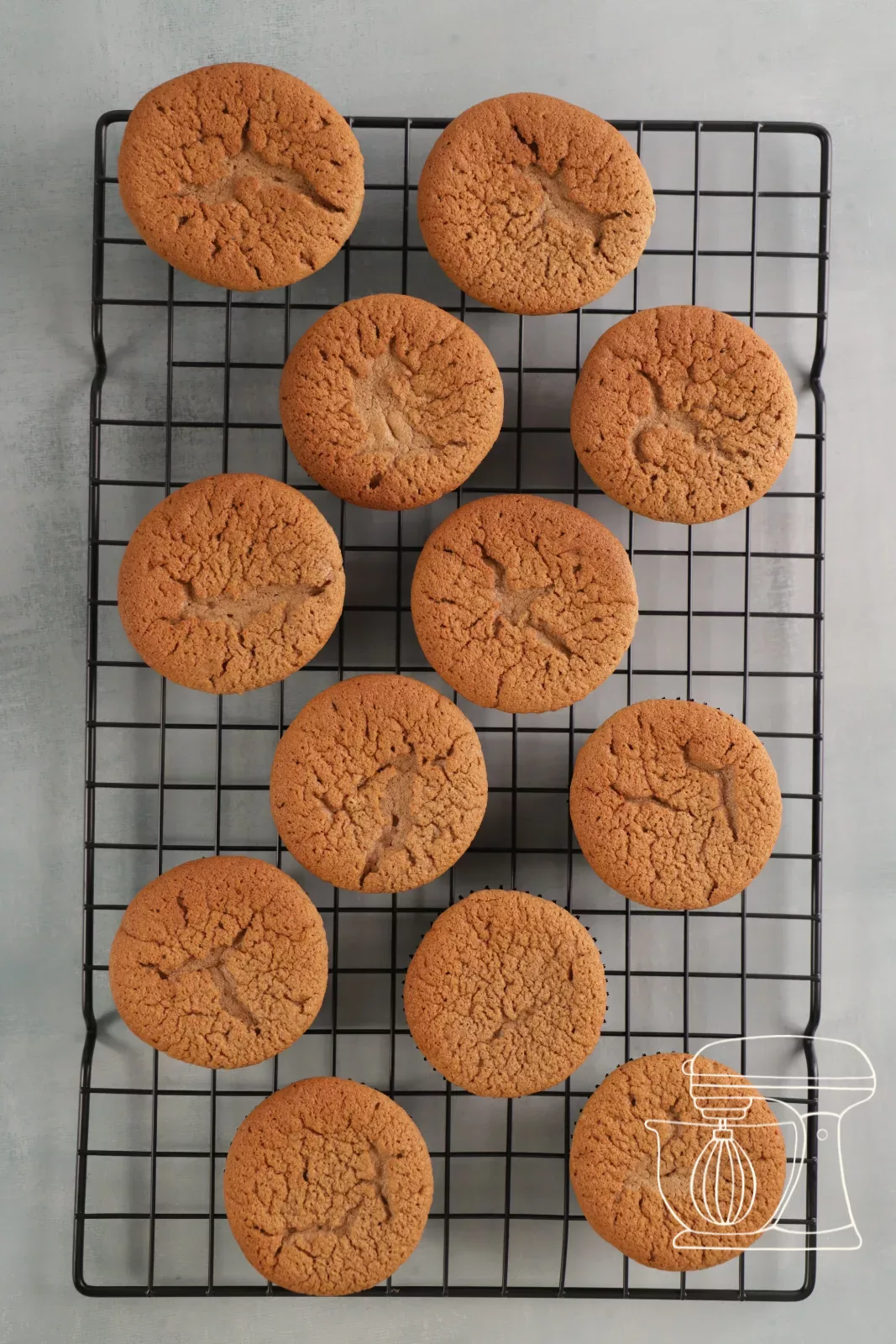 Gebackene Schokoladenmuffins kühlen auf einem Kühlgitter aus