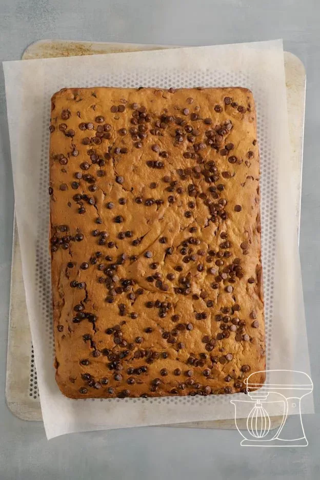 Pumpkin brownie with chocolate pieces on top