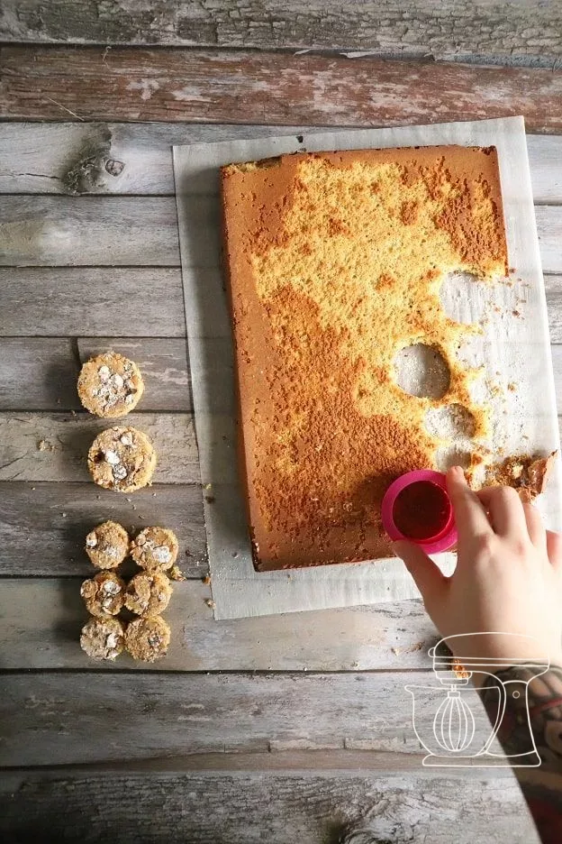 Small and large hazelnut sponge discs