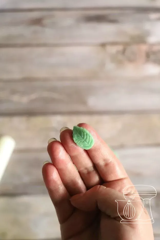Leaves being cut out with a small leaf Cookie cutter