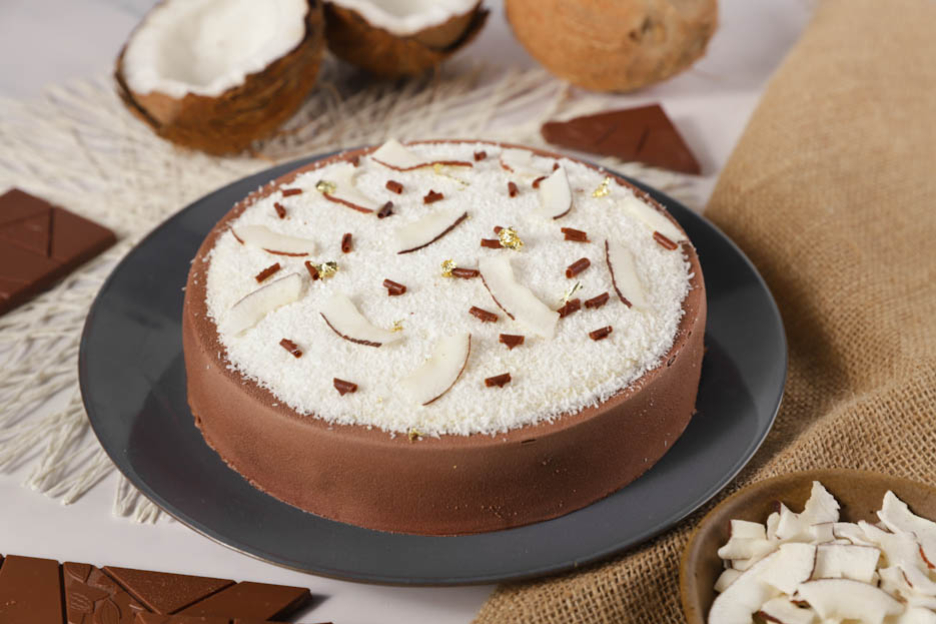 Chocolate-coconut entremet