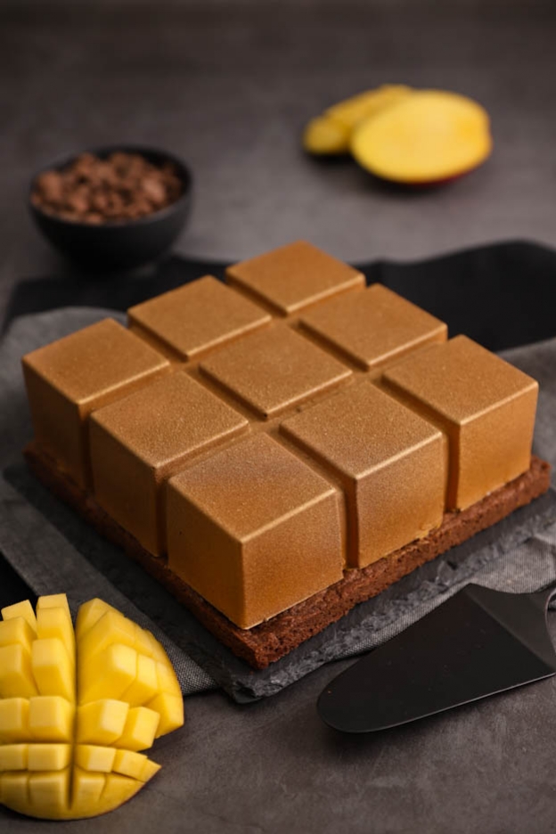 Mango-chocolate entremet